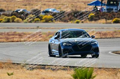 media/Nov-16-2024-Extreme Speed (Sat) [[6587d07cc4]]/Gold Group/Session 2 (Turns 3 and 5)/